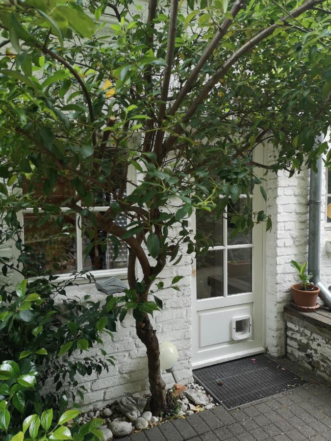 May-Apartment Koeln Zentrale Ferienwohnung Eksteriør bilde